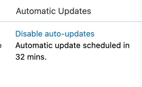 Automatic Plugin Update Schedule