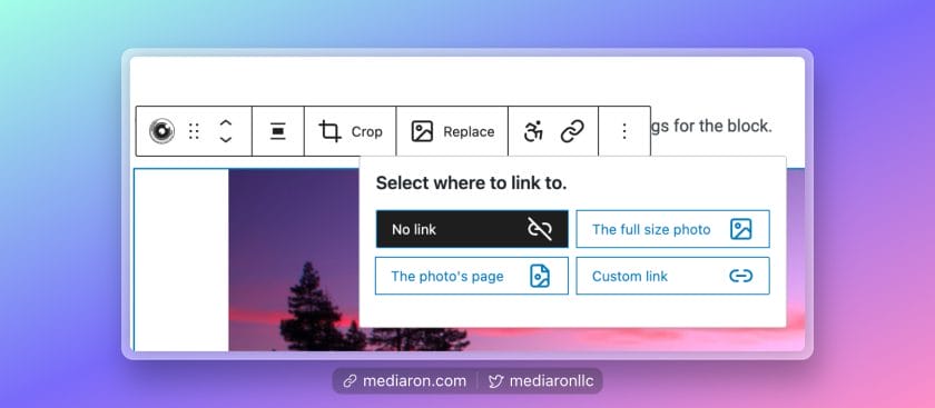 Link Popover Settings on the Edit Screen