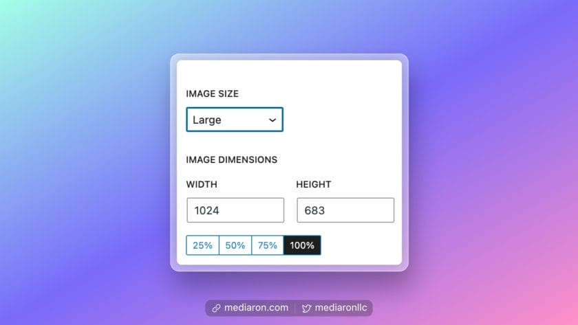 Choosing an Image Size in the Sidebar Options