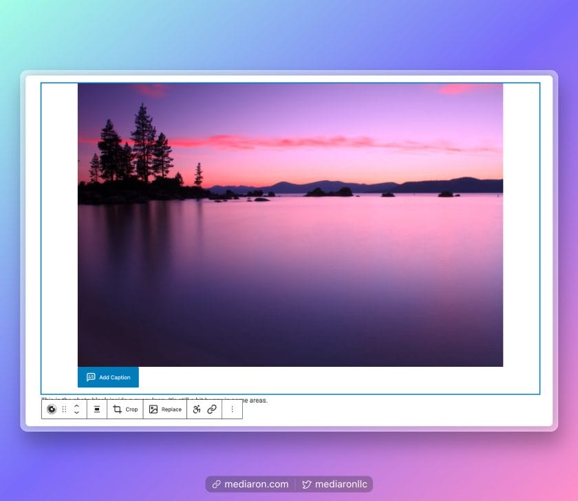 Add Caption Button on the Photo Block Interface