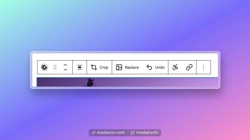 Undo Option in the Toolbar After Cropping