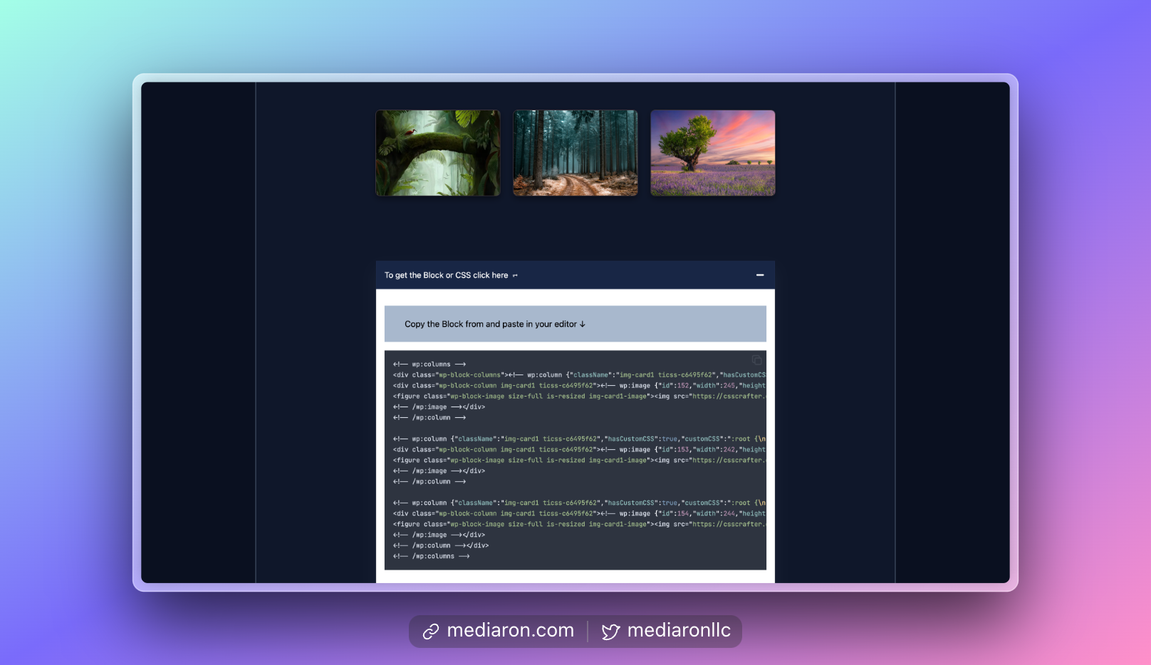 Code Snippet for Pasting into the Block Editor
